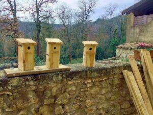 nichoirs à passereaux auto-construits à partir de palettes non traitées